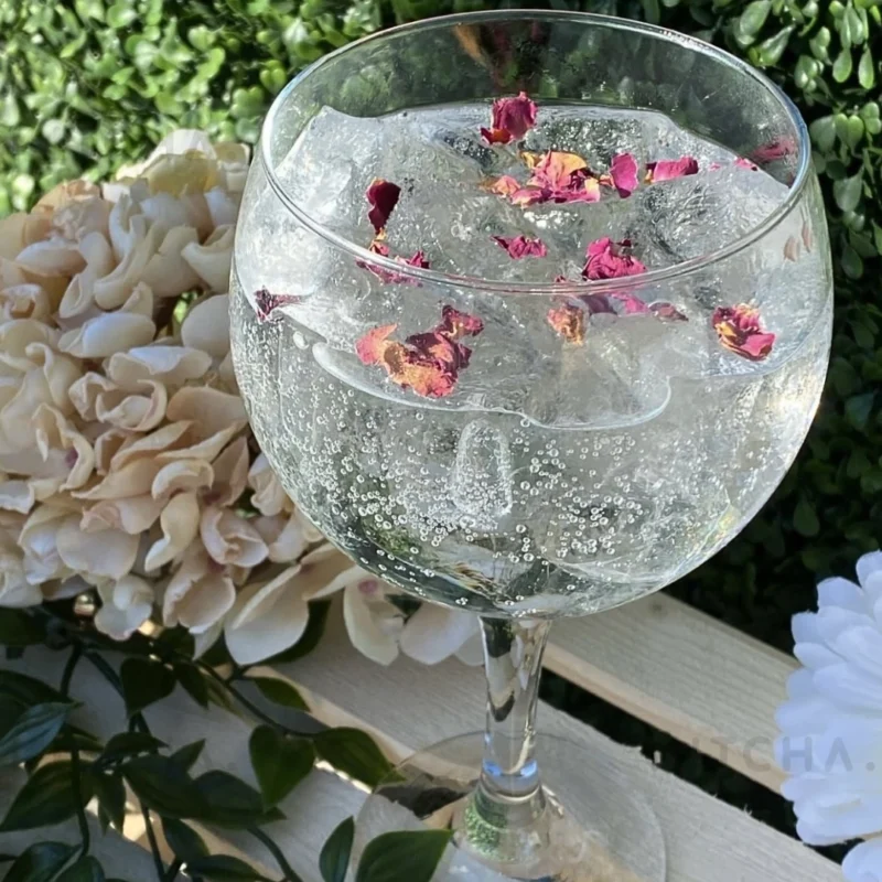 Åhus Tonic Fläder 20 cl