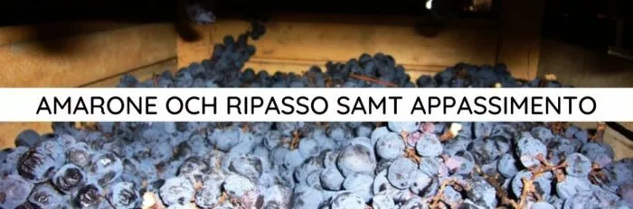 Amarone och Ripasso samt Appassimento