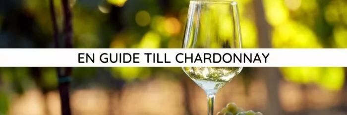 En guide till Chardonnay – Ett vin för alla