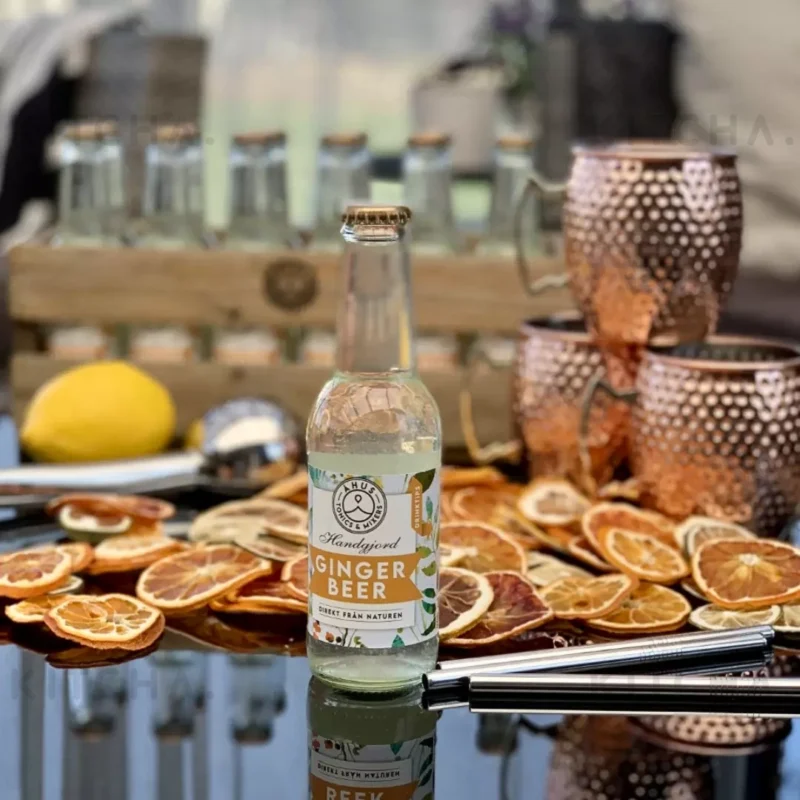 Åhus Tonic Ginger Beer 20 cl