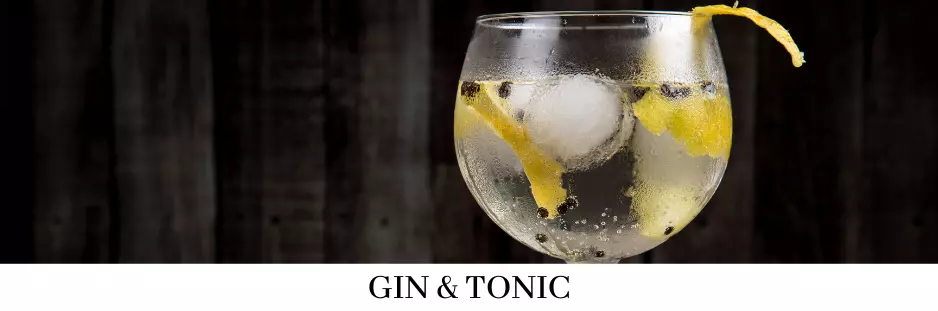 Gin Tonic - Bartillbehör på nätet